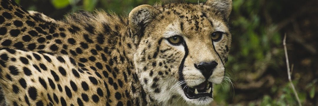 jamwaka_'s profile banner image