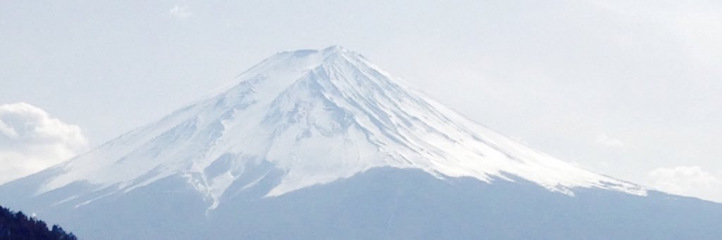 BbBeerBb's profile banner image