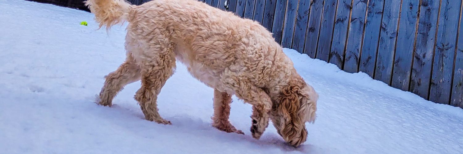 Samuel | SM Design banner