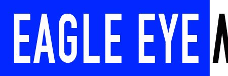 Eagle Eye banner