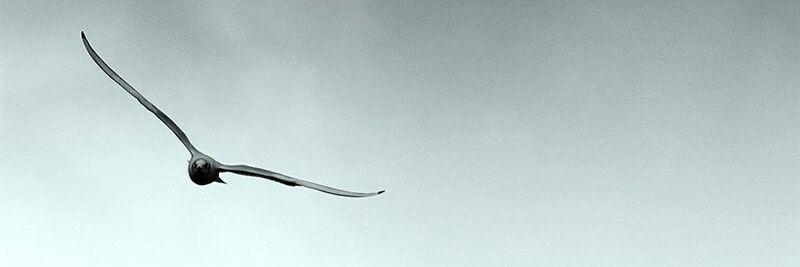 ab_khaksar's profile banner image