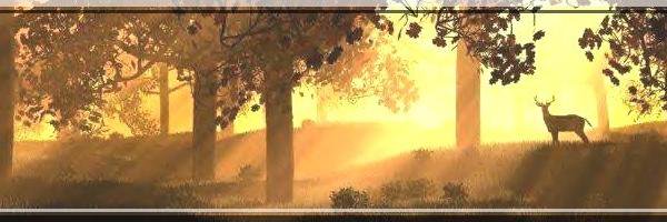 Be happy. ☺ banner