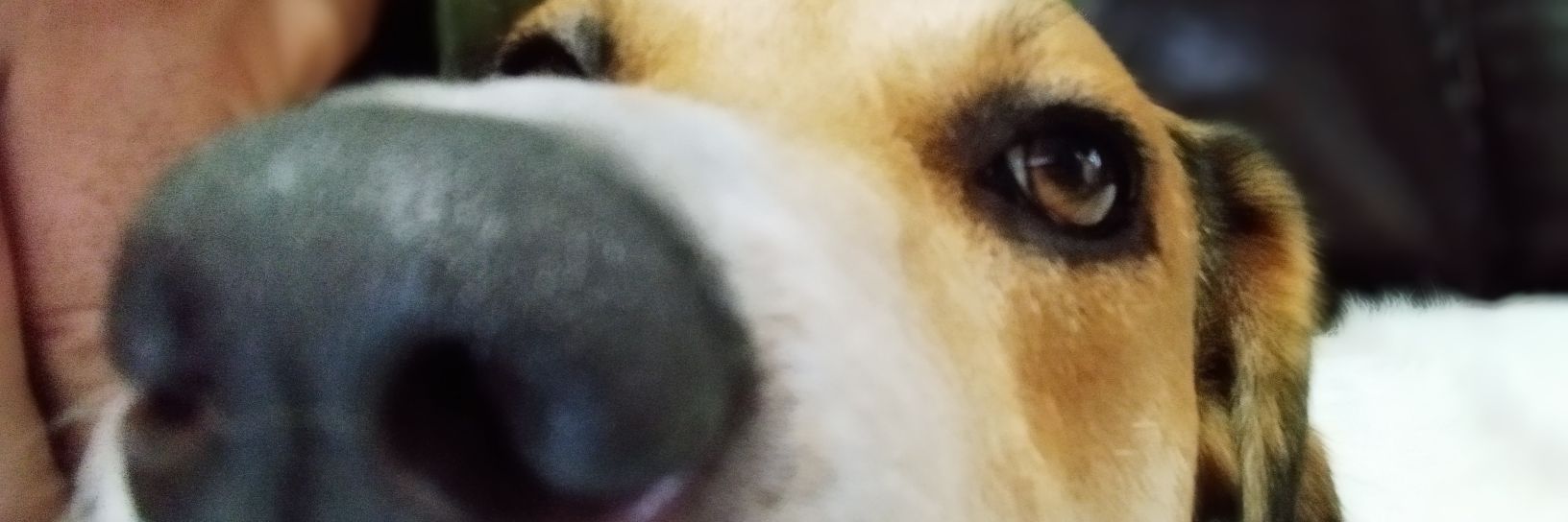 Alander_rj's profile banner image