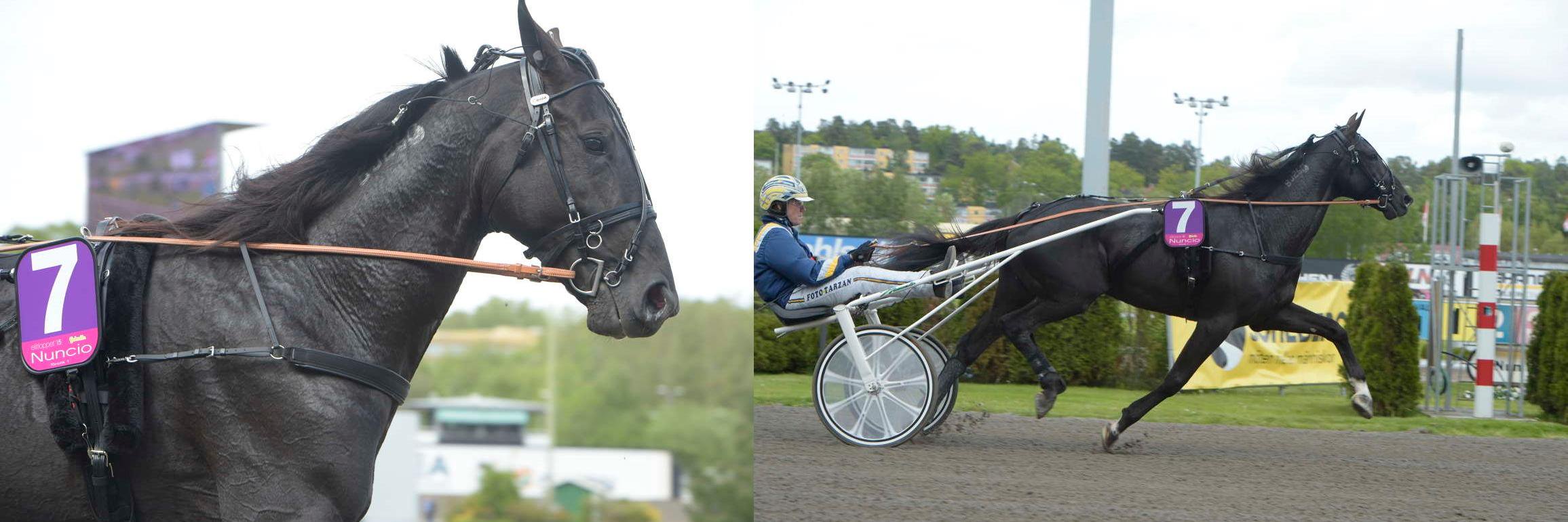 onlyfolllowing's profile banner image
