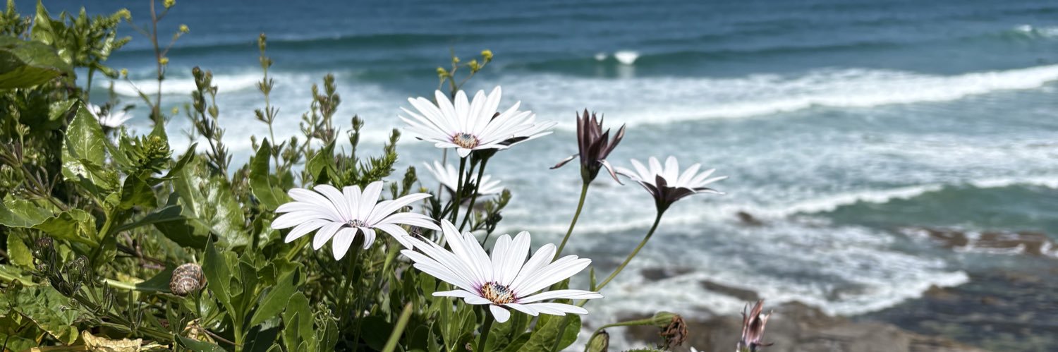 June_Foord's profile banner image