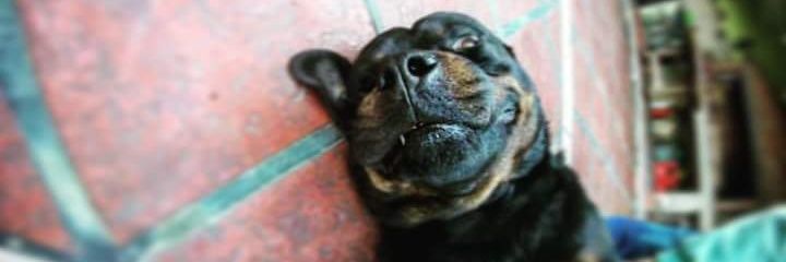VictorCorzo27's profile banner image
