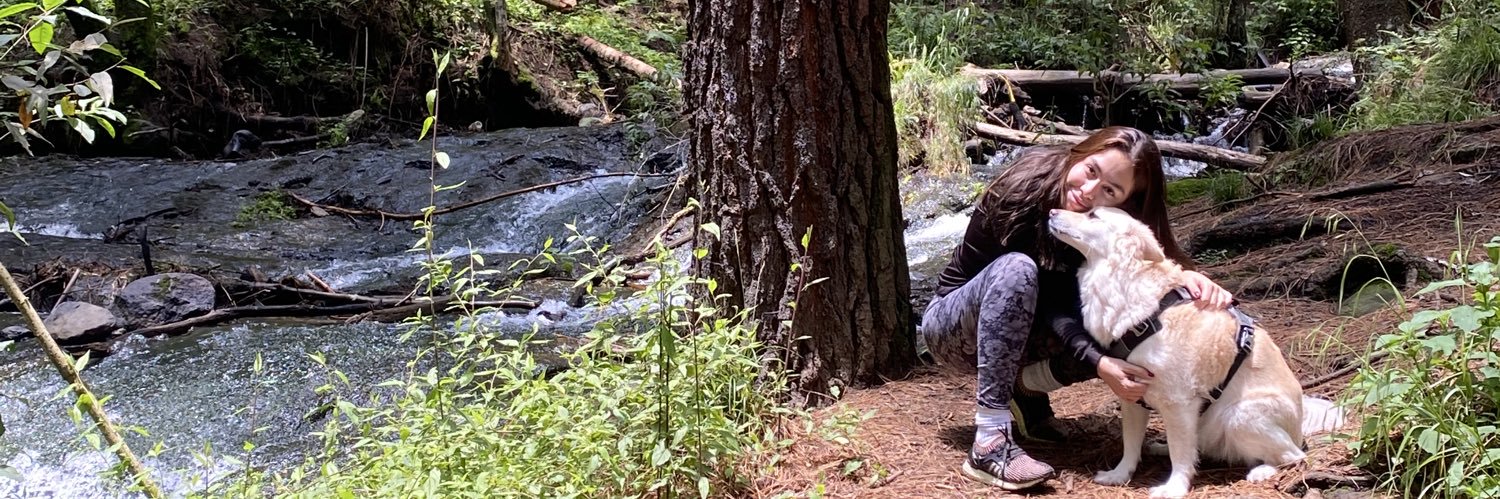 nattcoeto's profile banner image