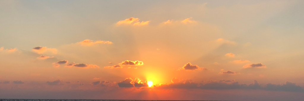 @zofrex.bsky.social banner