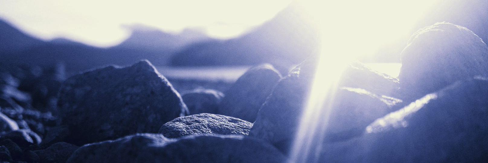 HannahAdkins16's profile banner image