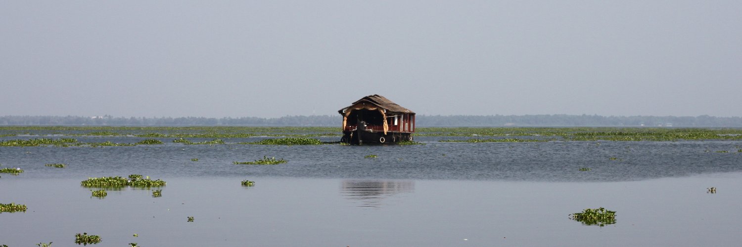 Masked Musketeer banner