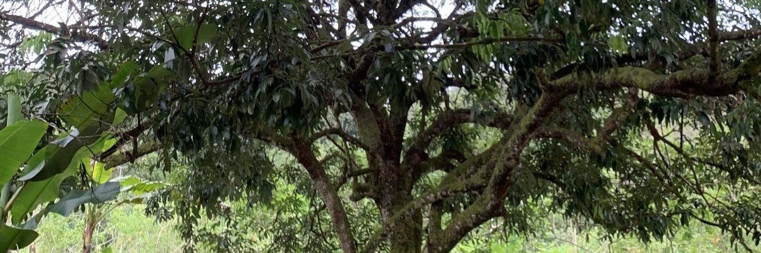 sh434m's profile banner image