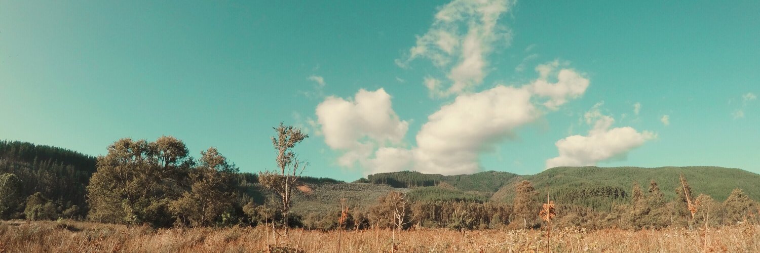 VALLLLLL's profile banner image