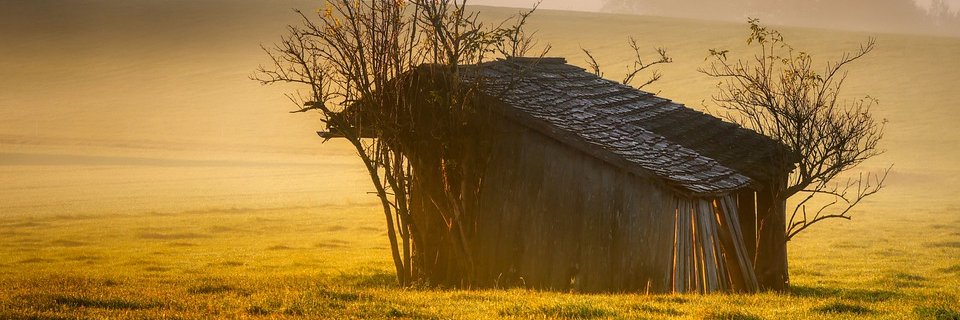 PsychThrillers's profile banner image
