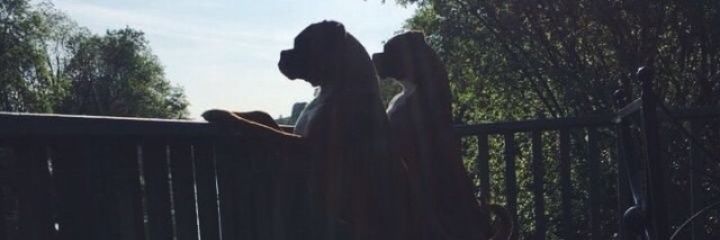 AlanWalsh3's profile banner image
