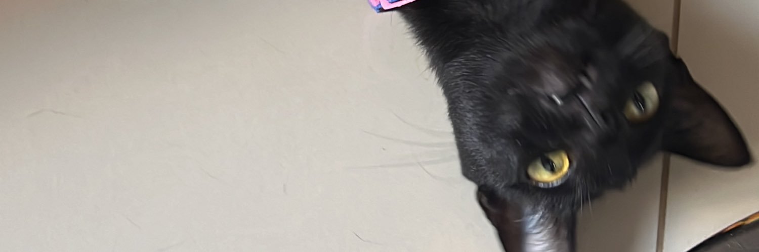 mariiguda's profile banner image
