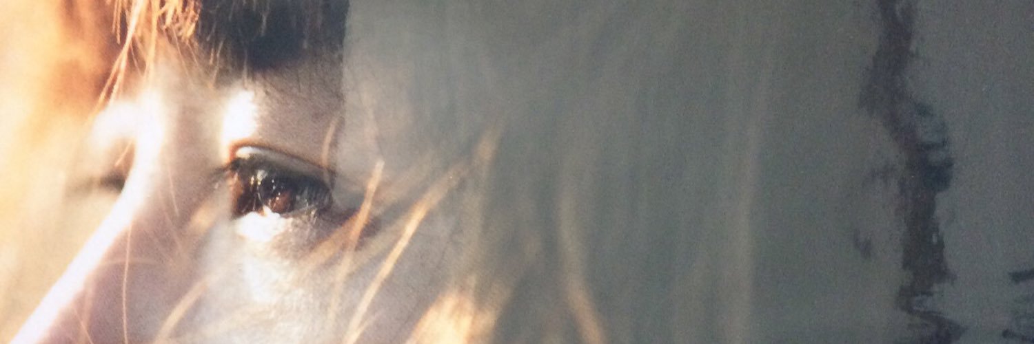 hhh2hiro's profile banner image