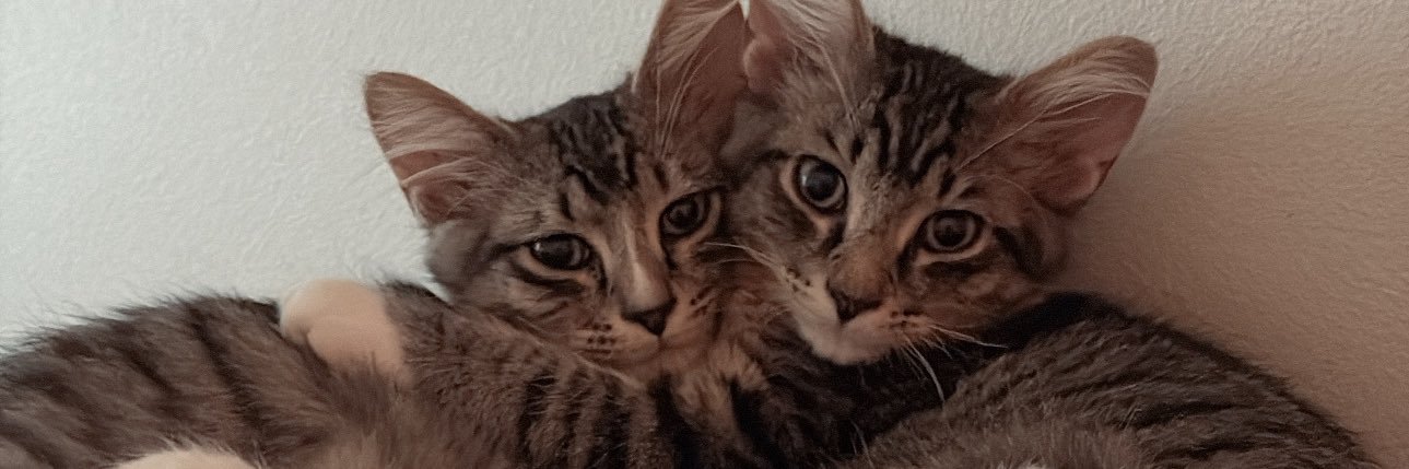 brookenations22's profile banner image