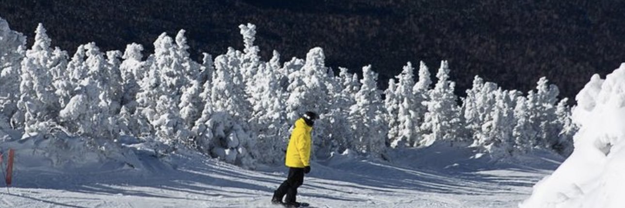 MitchellBruneau's profile banner image