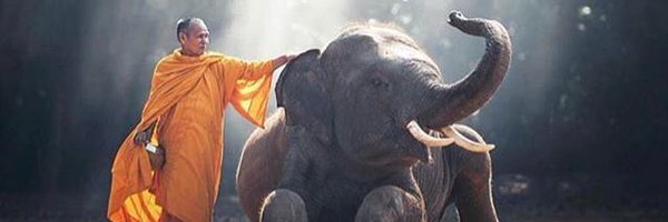 crazykitty998 Profile Banner