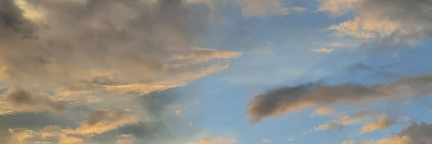 tatarababe's profile banner image