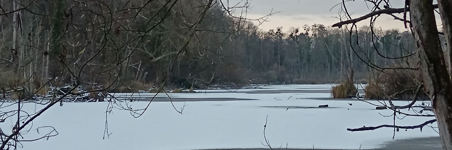bindaemeier's profile banner image