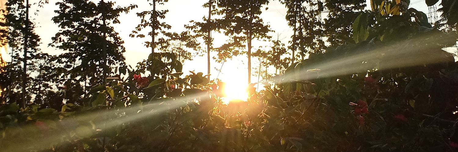 estervaganza's profile banner image