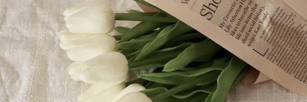 Maria ✌🏻📚🎬💛🖤 banner