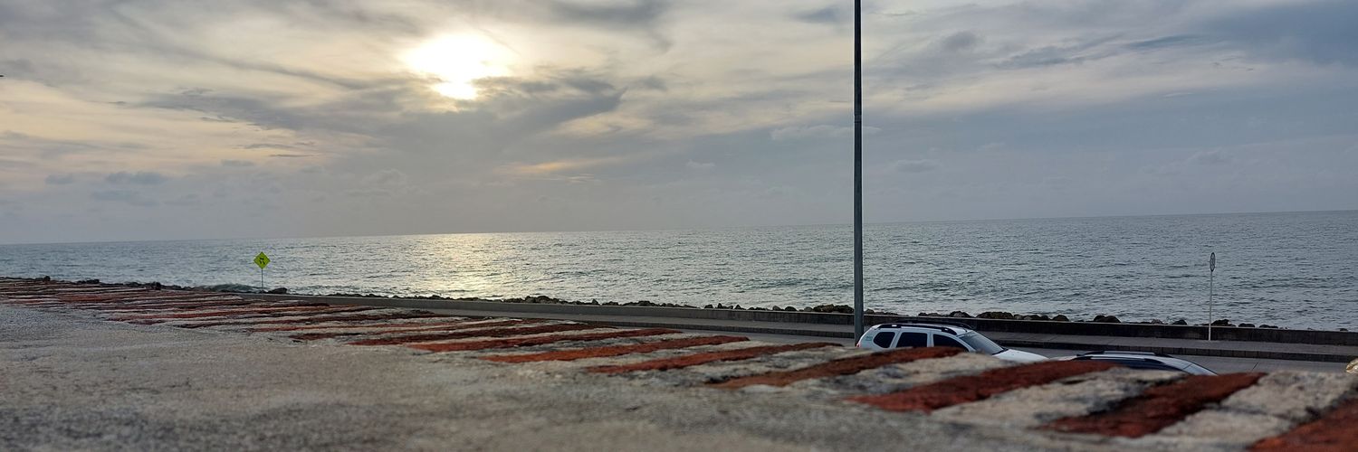 MarilusTorres's profile banner image