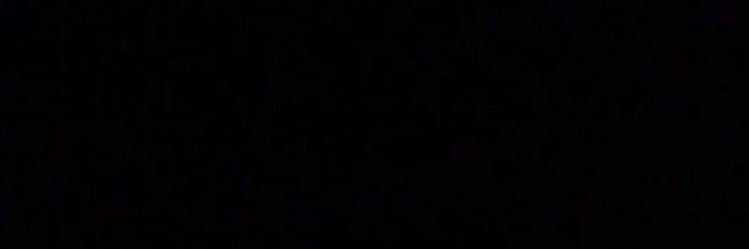 Verina B banner