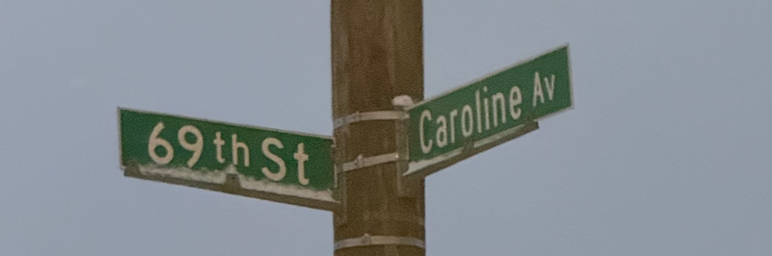 CariVogt's profile banner image