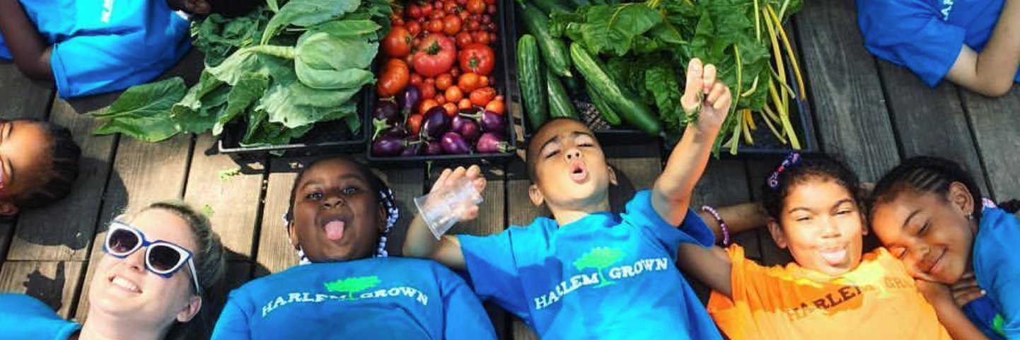 Harlem Grown banner