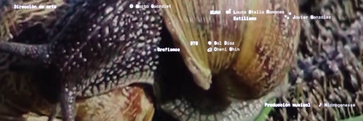 aniracro's profile banner image
