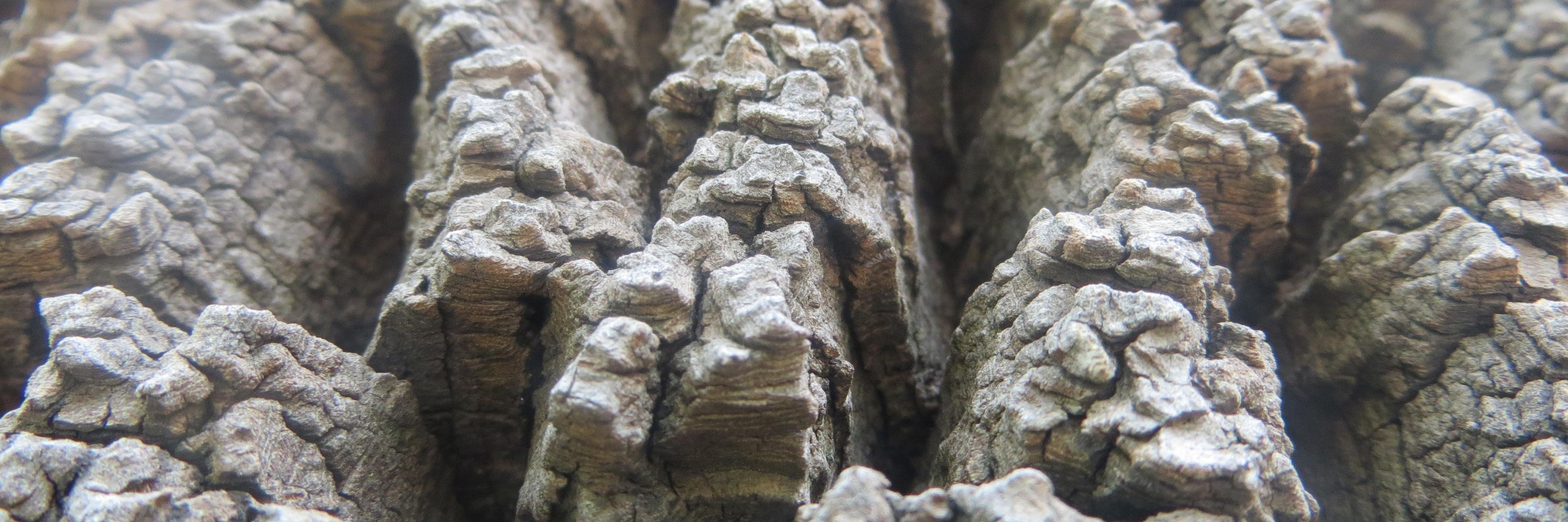 Israel Jáuregui banner