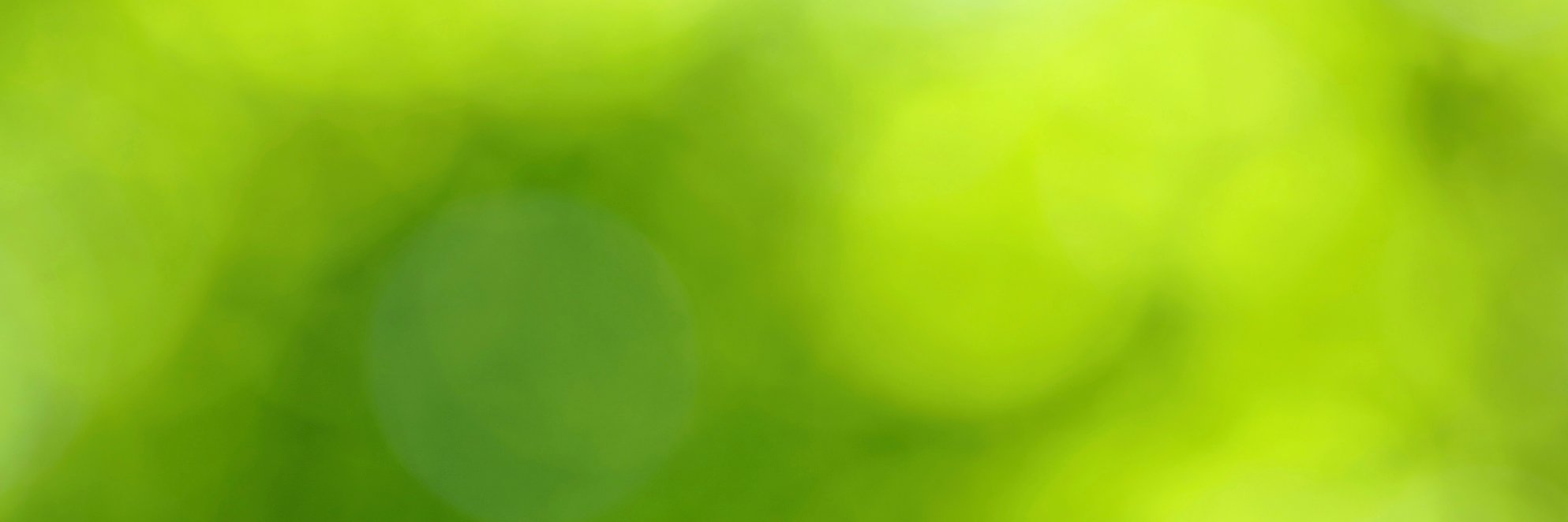 greenavise's profile banner image