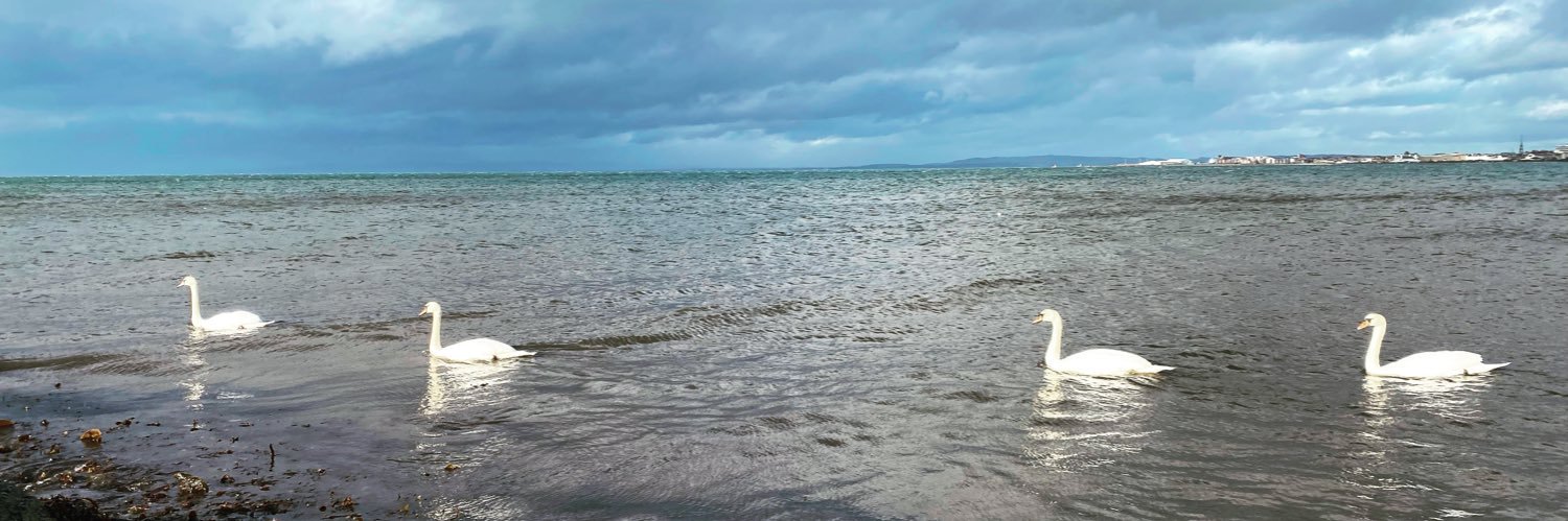 jenfeb's profile banner image
