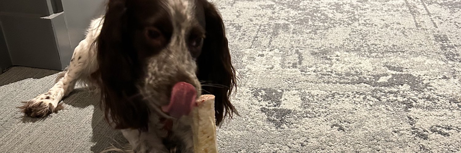 parkerrrrr___'s profile banner image