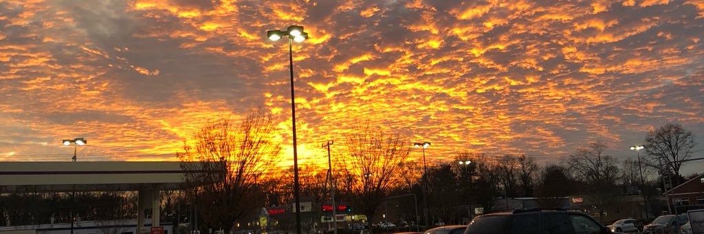 BridgetRandomfuck banner