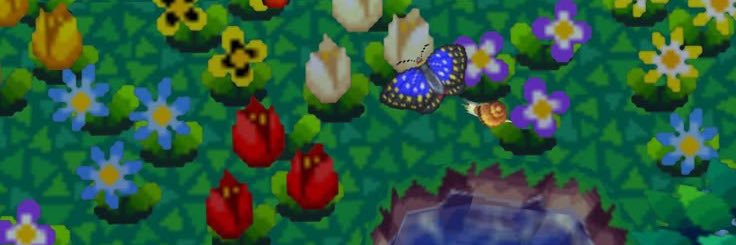 trevpalm's profile banner image