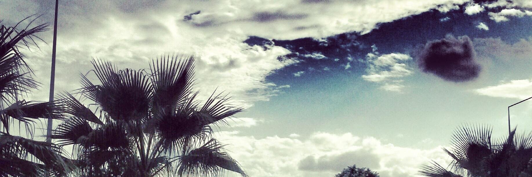 _eliiffss's profile banner image