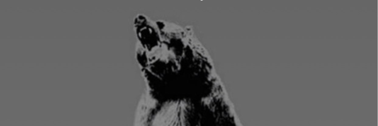 Timothe_Lorgane's profile banner image