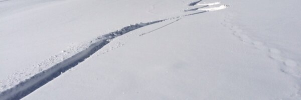 Matthieu_Tanguy Profile Banner