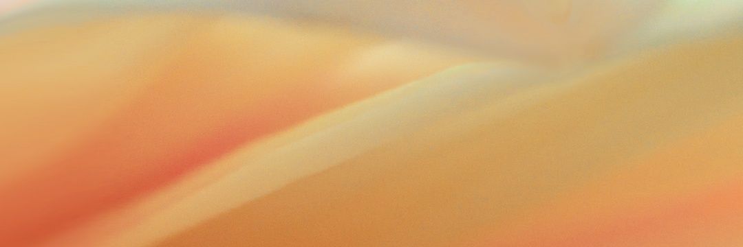 rcheth's profile banner image