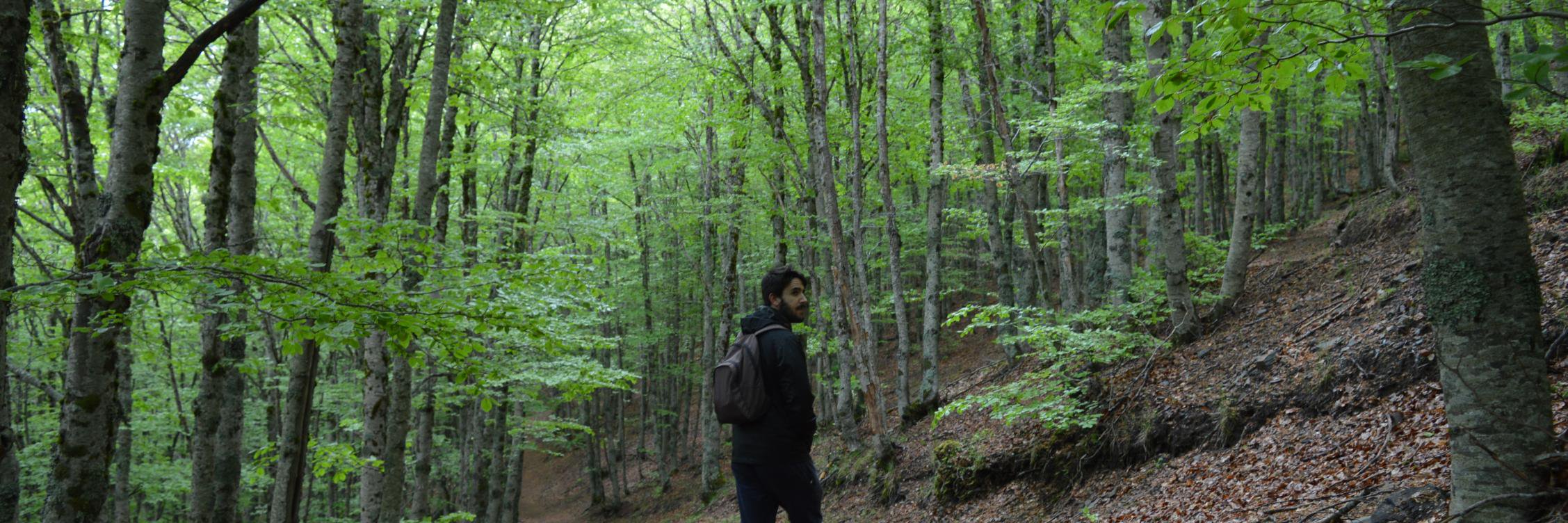 DavidMedinaCruz's profile banner image