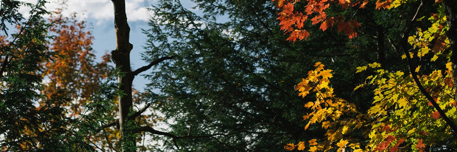 Alexander C. Sprungle banner