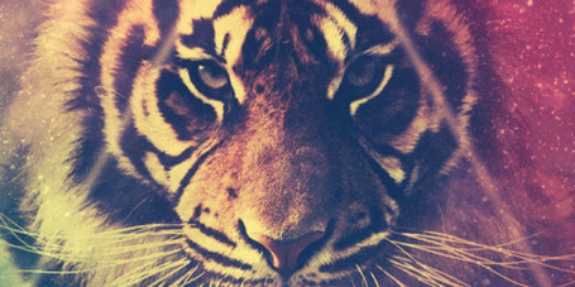 abymarti's profile banner image