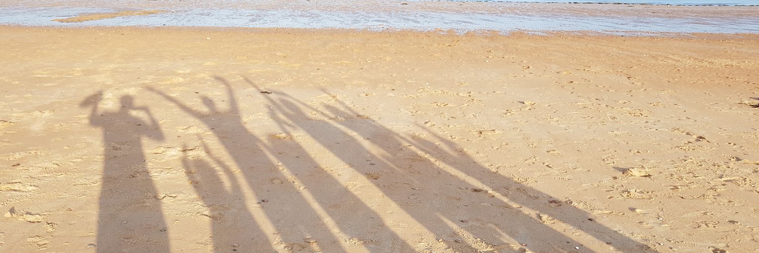 Steven_Board's profile banner image