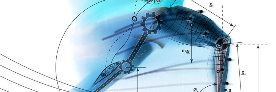 CEmotionPT's profile banner image