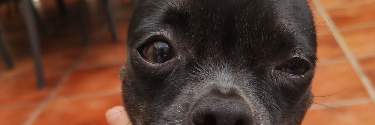 1CapSuarez's profile banner image