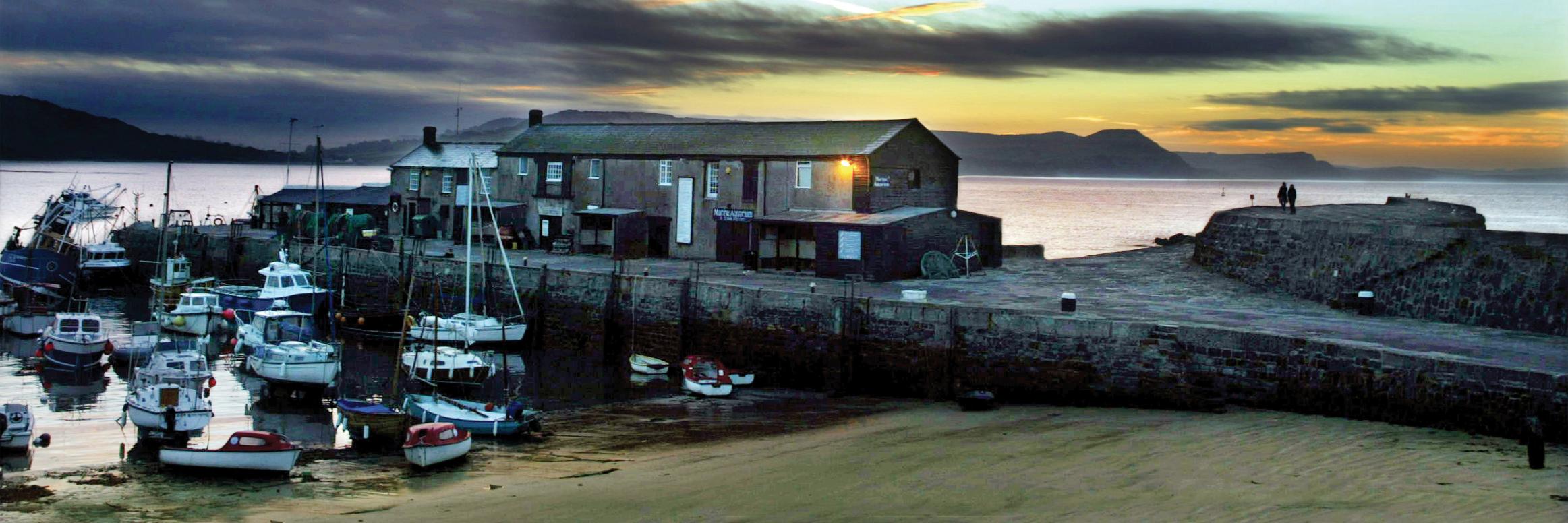 Richard Austin banner