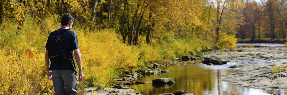 fremontNM's profile banner image